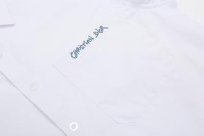 wholesale quality dior shirts model no. 115